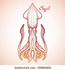 Graphic vector squid drawn in line art style. Sea and ocean creature in red colors. Coloring book page design