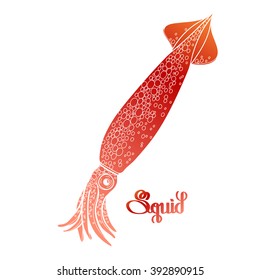 Graphic vector squid drawn in line art style. Sea and ocean creature in red colors isolated on white background . Coloring book page design