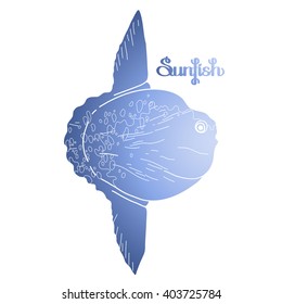 Graphic vector sunfish isolated on white background. Sea and ocean creature in blue colors. Coloring book page design