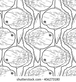 Graphic vector sunfish isolated on white background. Sea and ocean creature in black and white colors. Coloring book page design for adults and kids