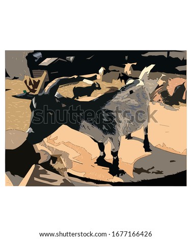 graphic vector work about goats at the zoo