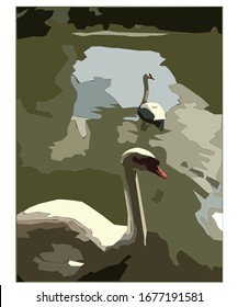 graphic vector work about swan at the zoo