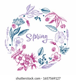 Graphic vintage illustration with botanical sketches. Flowers, buds, fruits, leaves, branches. Vector illustration. Manual graphics. 