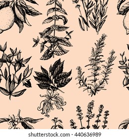 Graphic vintage pattern with aromatic plants.  Hand drawing. Seamless for fabric design, gift wrapping paper and printing and web projects.