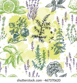 Graphic vintage pattern with aromatic plants. Hand drawing. Seamless for fabric design, gift wrapping paper and printing and web projects.