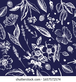 Graphic vintage seamless with botanical sketches. Flowers, buds, fruits, leaves, branches. Vector illustration. Manual graphics. Seamless pattern for decorating various surfaces.