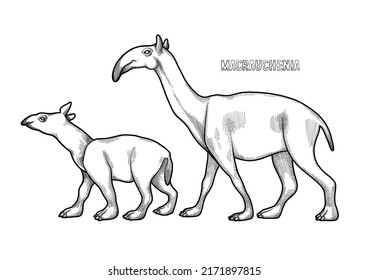 Graphic walking macrauchenias parent and child isolated on a white background. Vector illustration of the Ice Age