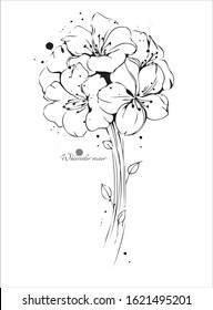 Flowers Drawing Peony Poppy Flower Vector Stock Vector (Royalty Free ...