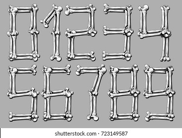 Graphic white realistic bones numbers on grey background vector set