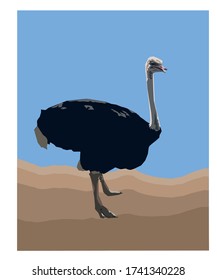 graphic work on ostrich in the desert
