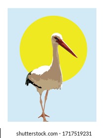 graphic work of stork walking in the zoo