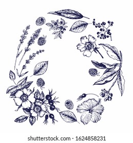Graphic wreath with botanical sketches. Flowers, buds, fruits, leaves, branches. Vector illustration. Manual graphics.