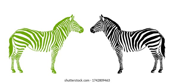 Graphical of 2 zebra black and green isolated on white background, vector illustration