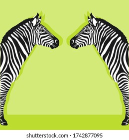 Graphical of 2 zebra face to face isolated on green background,vector illustration