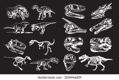 Graphical 3d big set of dinosaurs isolated on black background,vector illustration