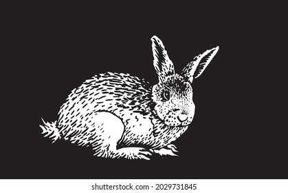 Graphical 3d bunny sitting on black background,vector illustration