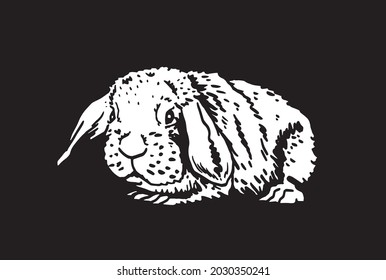 Graphical 3d fat rabbit on black background,vector illustration