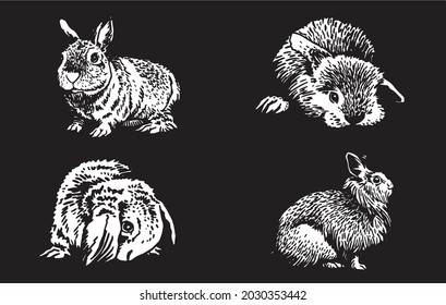 Graphical 3d set of bunnies on black background,vector engraved illustration,black and white collection