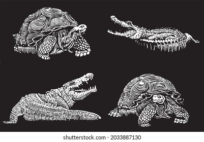 Graphical 3d set of crocodiles and tortoises on black background,vector illustration