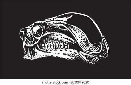 Graphical 3D skull of Iguanodon isolated on black background,vector illustration 
