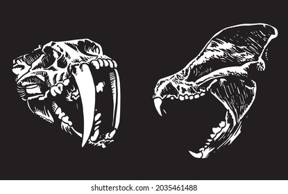 Graphical 3d skull of Smilodon and bear on black background, vector engraved illustration