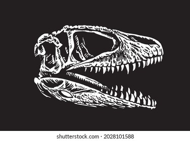 Graphical 3D skull of tyrannosaurus on black background, vector illustration for design,logo and typography. 