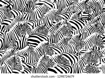 Graphical abstract illustration, zebra pattern, modern design cover, vector illustration