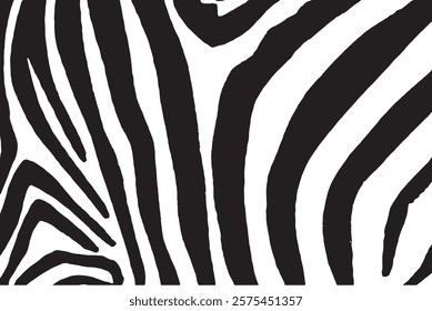 Graphical abstract illustration, zebra pattern, modern design cover for typography , vector illustration. Stripy fashion hand drawn print