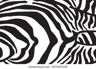 Graphical abstract illustration, zebra pattern, modern design cover for typography , vector illustration. Stripy fashion hand drawn print