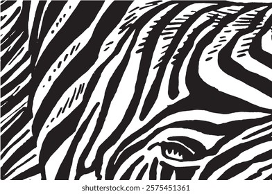 Graphical abstract illustration, zebra pattern, modern design cover for typography , vector illustration. Stripy fashion hand drawn print