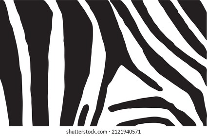 Graphical abstract illustration , zebra stripes wallpaper,stylish cover vector