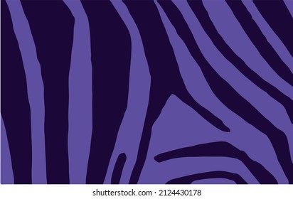 Graphical abstract illustration , zebra stripes wallpaper,stylish color cover vector