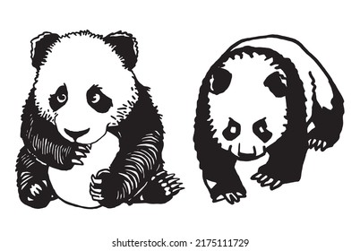 Graphical adorable pandas, vector ink pen illustration, cute bears