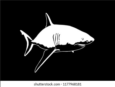 Graphical angry shark isolated on black,vector engraved illustration,sketch