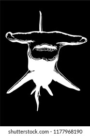 Graphical angry shark isolated on black,vector engraved illustration,sketch
