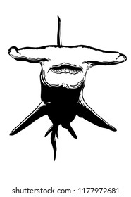 Graphical angry shark isolated on white,vector tattoo illustration