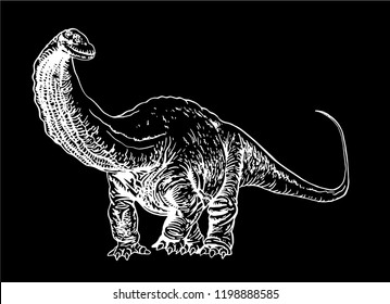 Graphical apatosaurus isolated on black background,vector engraved illustration,dinosaur