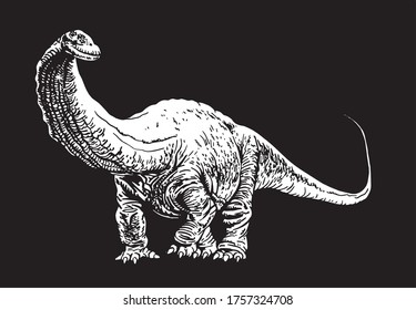 Graphical apatosaurus isolated on black background,vector engraved illustration,dinosaur drawing 