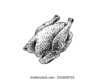 Graphical baked chicken isolated on white background, grilled chicken, vector illustration	
