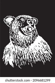 Graphical bear portrait isolated on black background,African animal vector illustration 