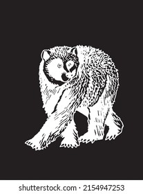 Graphical bear walking isolated on black,African animal vector illustration