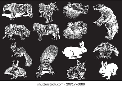 Graphical big collection of animals on black,vector illustration