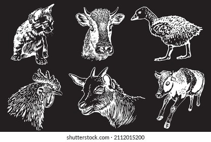 Graphical big collection of domestic animals, black background, eps 10 vector elements 	
