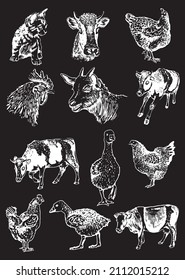 Graphical big collection of domestic animals, black background, eps 10 vector elements 	
