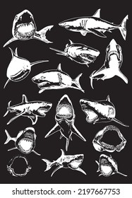 Graphical big collection of sharks isolated on black, marine life elements.Vector illustration. Seafood