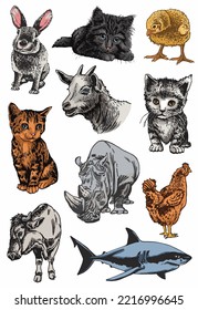 Graphical big color set of animals isolated on white,vector elements for design,books and printing