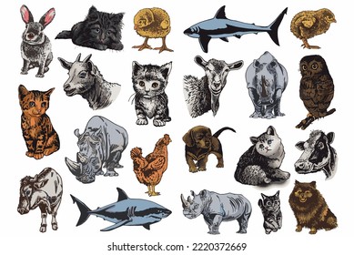 Graphical big color set of animals isolated on white,vector elements for design,books and printing