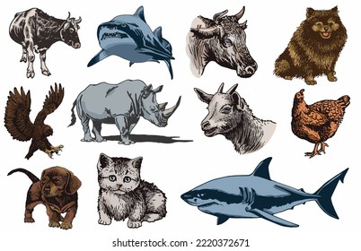 Graphical big color set of animals isolated on white,vector elements for design,books and printing
