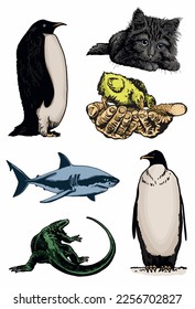Graphical big color set of animals isolated on white,vector elements for design,books and printing
