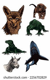 Graphical big color set of animals isolated on white,vector elements for design,books and printing
